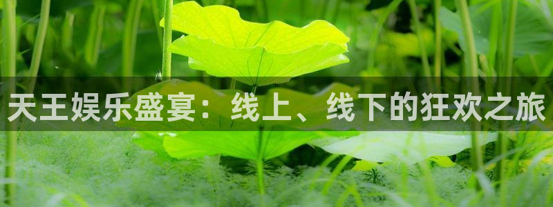 彩神vii官方